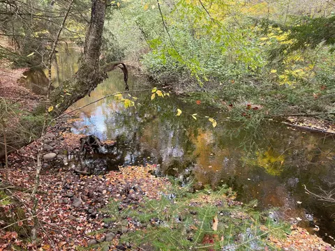 40 Acres Bluff Rd, Ogema, WI 54459