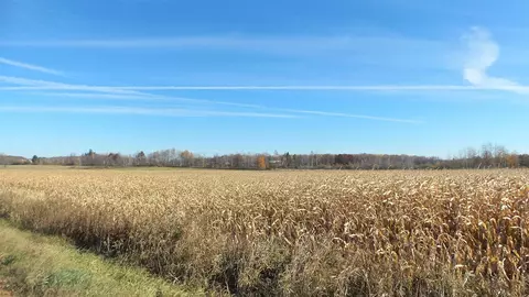 100144 Town Hall Rd, Unity, WI 54488