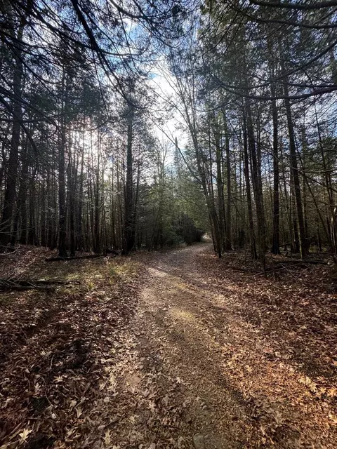 Birnamwood Road, Birnamwood, WI 54414