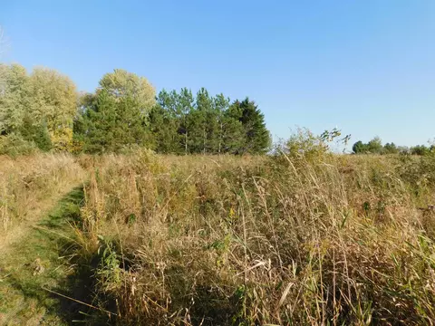 lot2 County Road X, Merrill, WI 54452