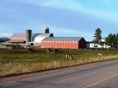 w6691 County Road G, Greenwood, WI 54437