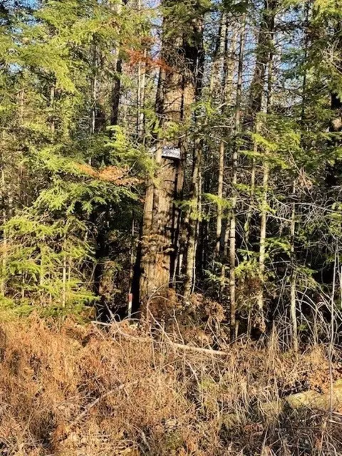 N8040 Swamp Road, Tomahawk, WI 54487