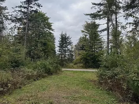 lot4 Pine Shore Ln, Tomahawk, WI 54487