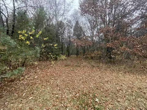 lot S 456 Harding Rd, Plainfield, WI 54966