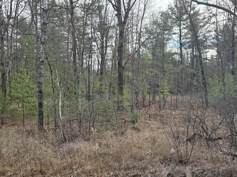 State Highway 173, Babcock, WI 54413