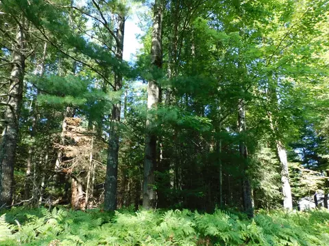 35 Acres County Road H, Irma, WI 54442