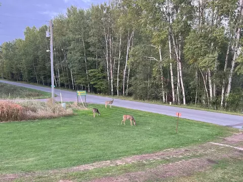 n8495 East Wilson Flowage Road, Phillips, WI 54555 photo 53