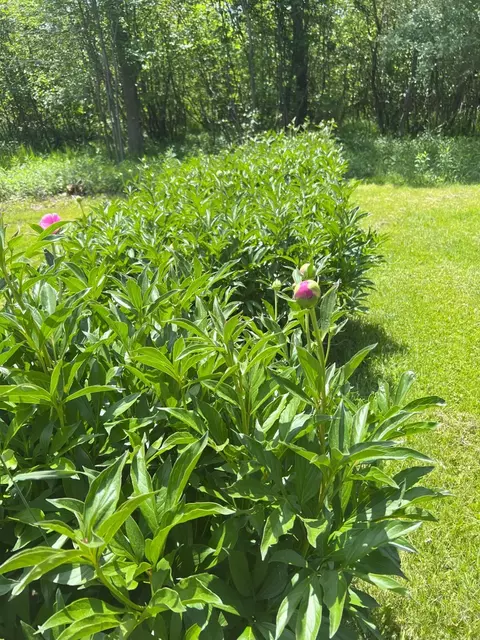 n8495 East Wilson Flowage Road, Phillips, WI 54555 photo 52