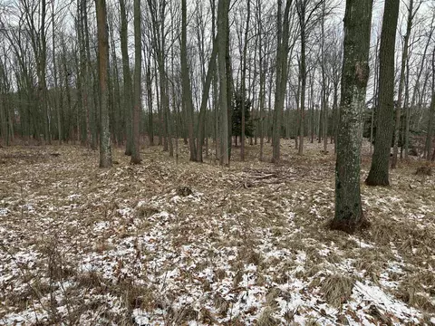001 Cnossen Ln, Hatley, WI 54414