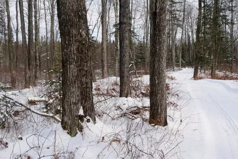 n3507 Strawberry Avenue, Medford, WI 54451