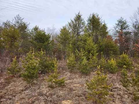 Koval Road, Lyndon Station, WI 53944