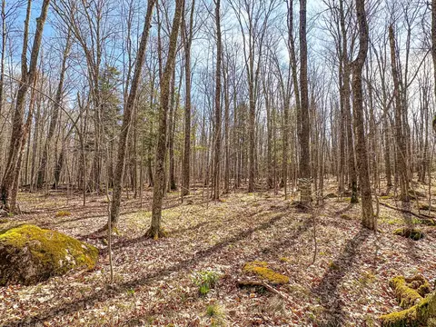 10 Bass Lake Rd # A, Park Falls, WI 54552