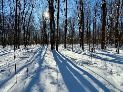 242881 Tobias Rd, Antigo, WI 54409 photo 5