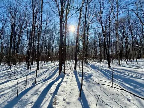 242881 Tobias Rd, Antigo, WI 54409 photo 3