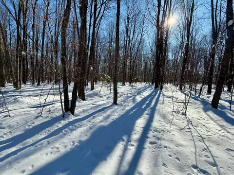 242881 Tobias Rd, Antigo, WI 54409 photo 6