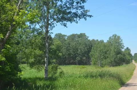 3 83 Kapitz Rd, Rib Lake, WI 54470
