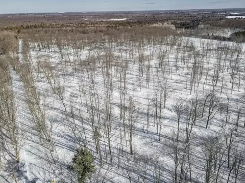 10 63 Acres Plover River Rd, Hatley, WI 54440