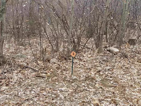 lot4 Acorn Ridge Rd, Mosinee, WI 54455