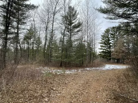 40 Acres Seneca Rd, Port Edwards, WI 54469