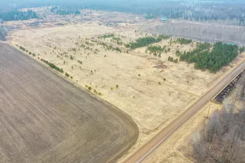 20 Acres Hamm Dr, Owen, WI 54460
