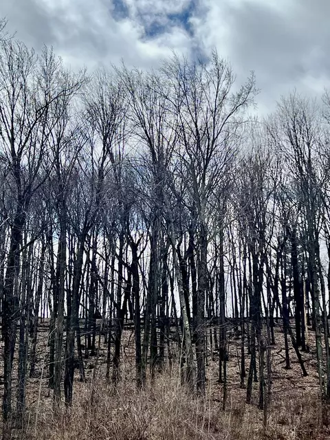 911 Buffalo Ridge Ln, Waupaca, WI 54981
