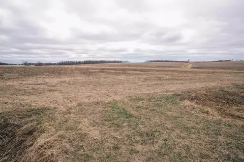 80 Acres Spencer Rd, Loyal, WI 54446