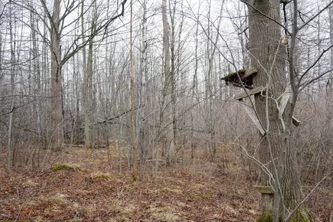 25 89 Acres County Road M, Gilman, WI 54433