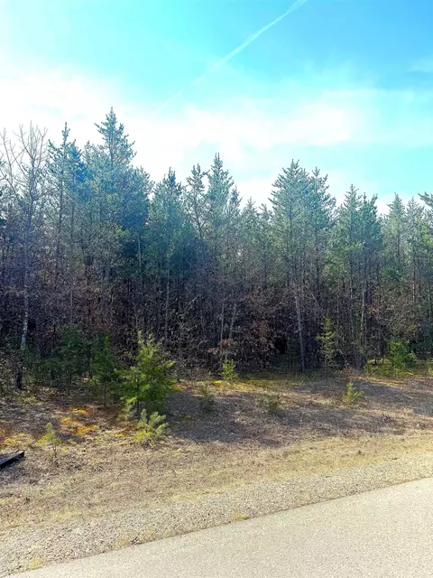 lot29 Red Tail Hawk Dr, Stevens Point, WI 54482