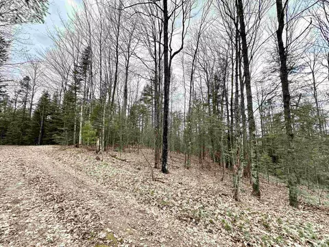 10 Acres State Highway 55, Pearson, WI 54462