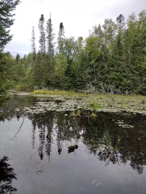 0 W 56 Acres W Killarney Dr, Tomahawk, WI 54487 photo 3