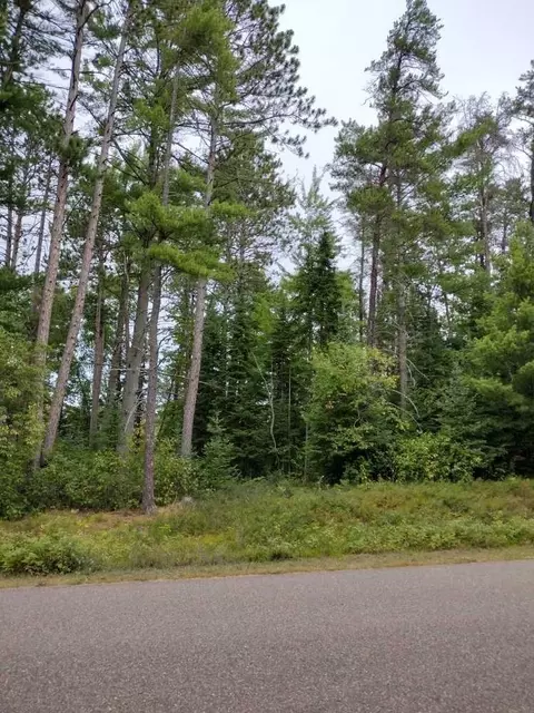 0 W 56 Acres W Killarney Dr, Tomahawk, WI 54487 photo 4
