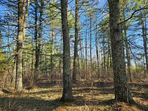 lot S 13-17 Burrows Lake Rd, Tomahawk, WI 54487
