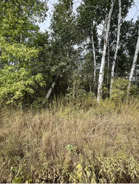 lot One Kraus St, Marshfield, WI 54449