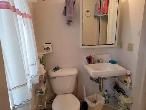 Bath - n9221 Sumac Lane, Gresham, WI 54128 photo 1 of 1
