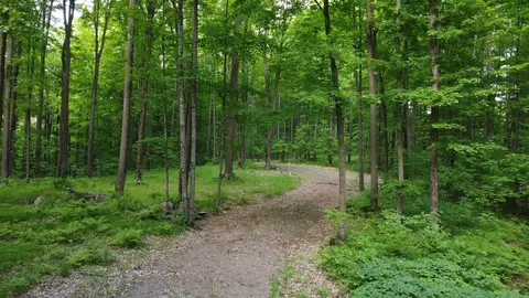 0000 Grudgeville Rd, White Lake, WI 54491