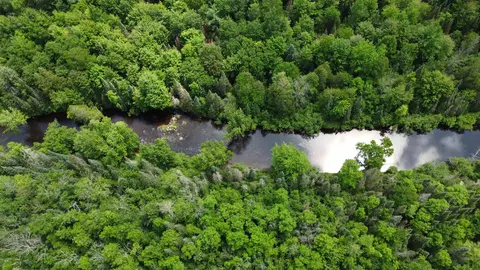 View/Area - 76557 Deringer Rd, Glidden, WI 54527 photo 2 of 6