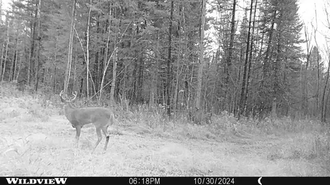 Other - 76557 Deringer Rd, Glidden, WI 54527 photo 13 of 18