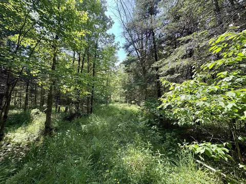 Other - 76557 Deringer Rd, Glidden, WI 54527 photo 15 of 18