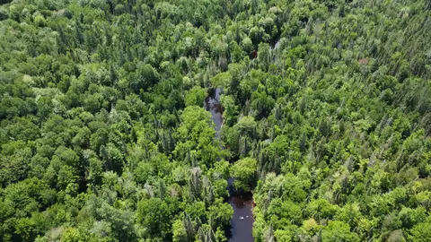 Other - 76557 Deringer Rd, Glidden, WI 54527 photo 9 of 18