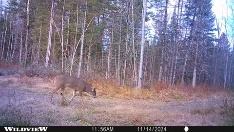 Other - 76557 Deringer Rd, Glidden, WI 54527 photo 8 of 18