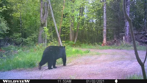 Other - 76557 Deringer Rd, Glidden, WI 54527 photo 7 of 18