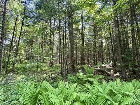 Exterior - 76557 Deringer Rd, Glidden, WI 54527 photo 10 of 18