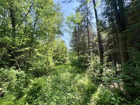 Exterior - 76557 Deringer Rd, Glidden, WI 54527 photo 15 of 18