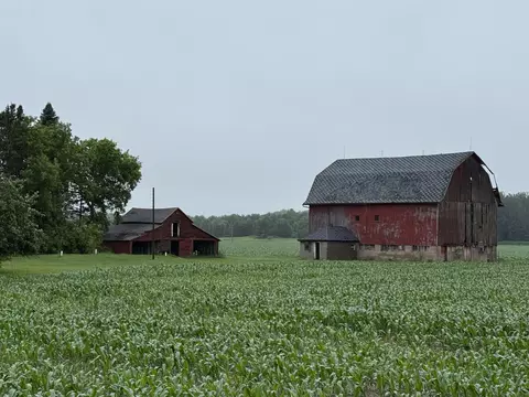 Other - e1384 Wolf River Road, Iola, WI 54945 photo 12 of 16