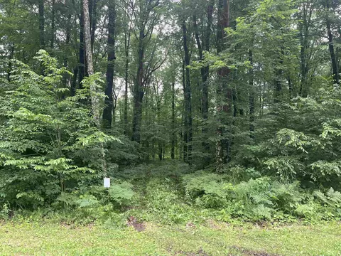 lot17 Dubay Dr, Mosinee, WI 54455