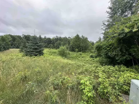 lot41 Point Trl, Wisconsin Rapids, WI 54494