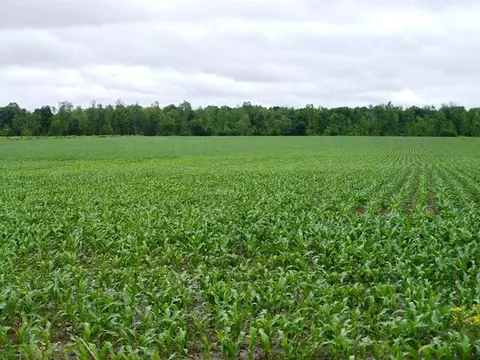 Sec 32 Century Road, Greenwood, WI 54437