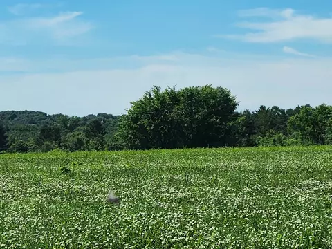 503 W North Rd, Cadott, WI 54727