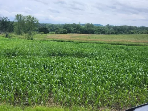 503 W North Rd, Cadott, WI 54727