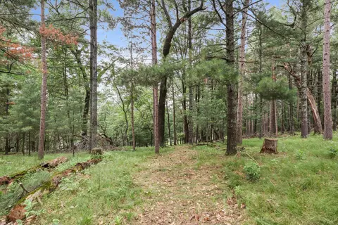 577 17th Ave, Nekoosa, WI 54457 photo 29